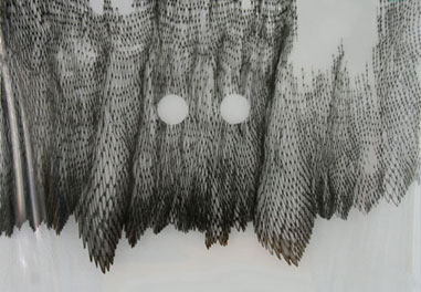 TOOLS II, mareike lee